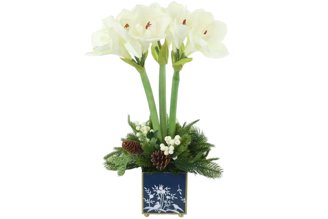 White Amaryllis & Winter Greens in Chinoiserie Planter