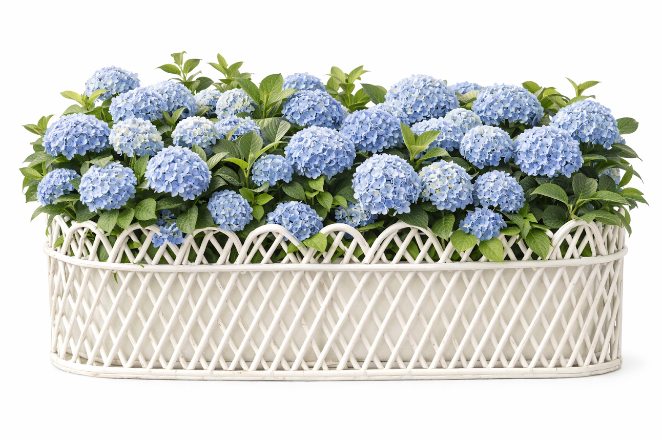 JUMBO WHITE RECTANGULAR RATTAN SCALLOPED PLANTER