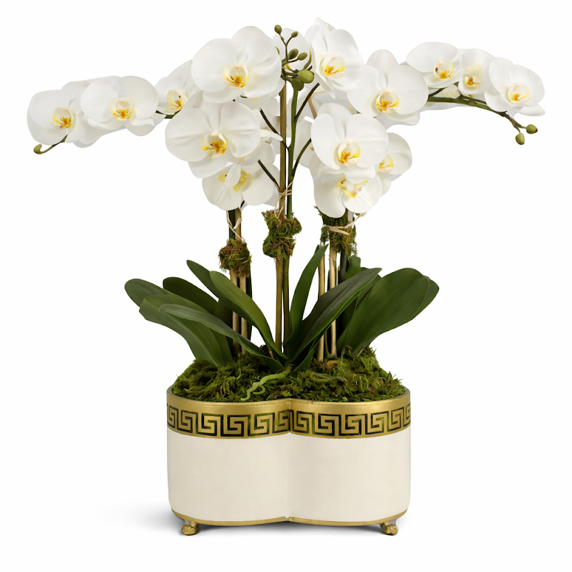3 Stem White Orchid in Ivory Greek Key Quatrefoil Planter