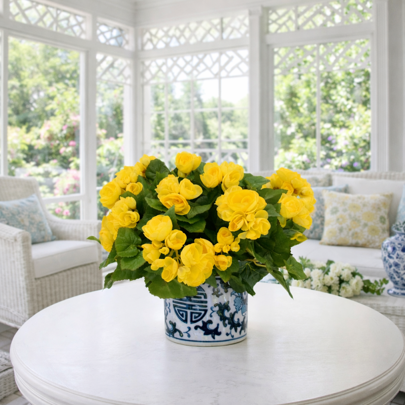 Yellow BEGONIA IN BLUE AND WHITE PLANTER