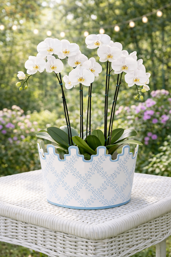 White & Blue Trellis Scalloped Footed Planter: Final Sale