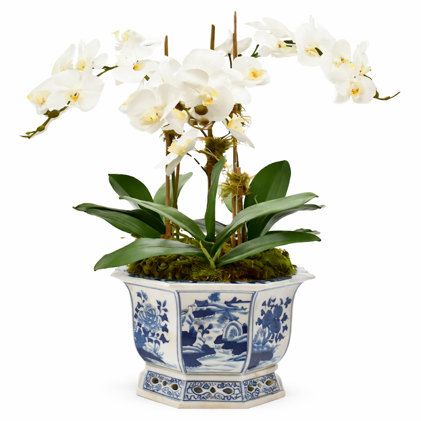 3 Stem White Orchid in Round Pierced Porcelain Planter