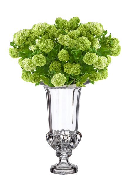 Tall Glass Urn / Vase