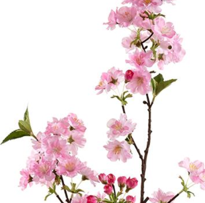 Pink Cherry Blossoms 36" (box of 12)