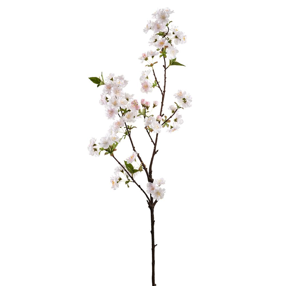 36" cream/pink Cherry Blossoms (Box of 12)