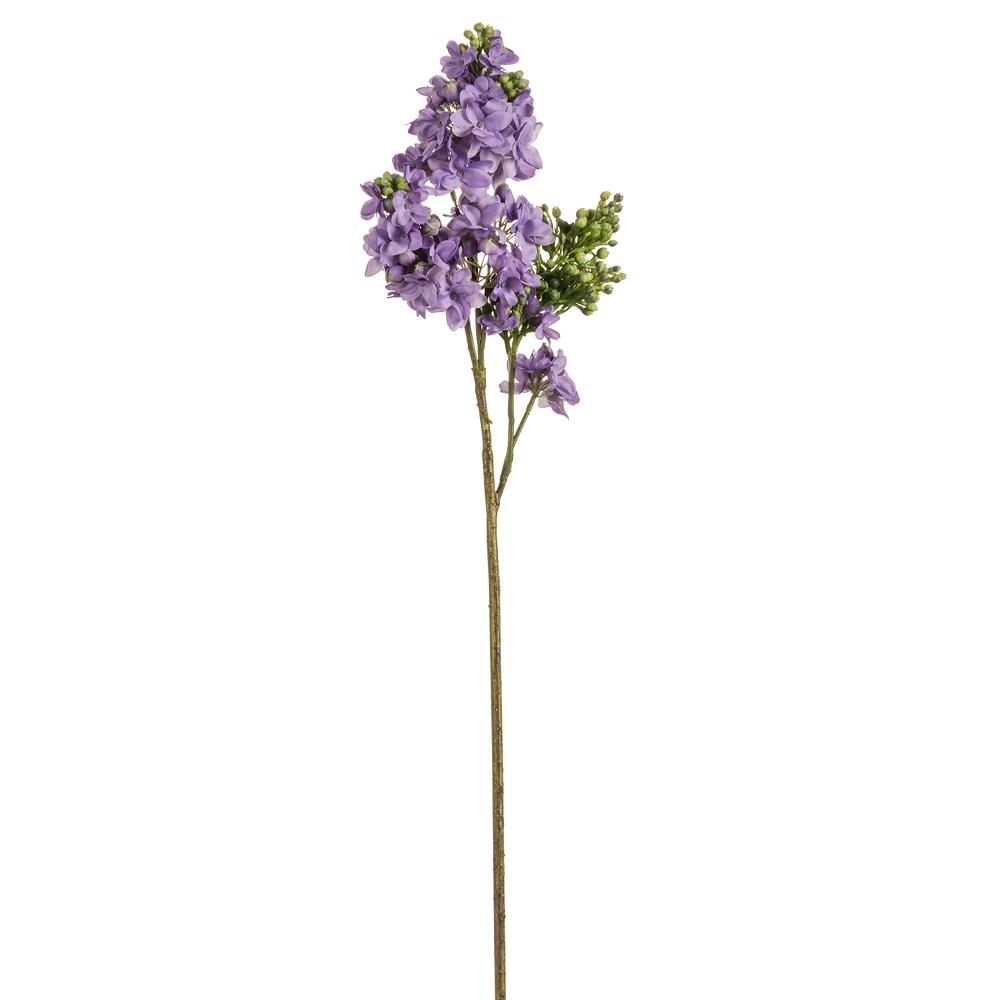 Box of 12 Lifelike 26" Lilac Stems