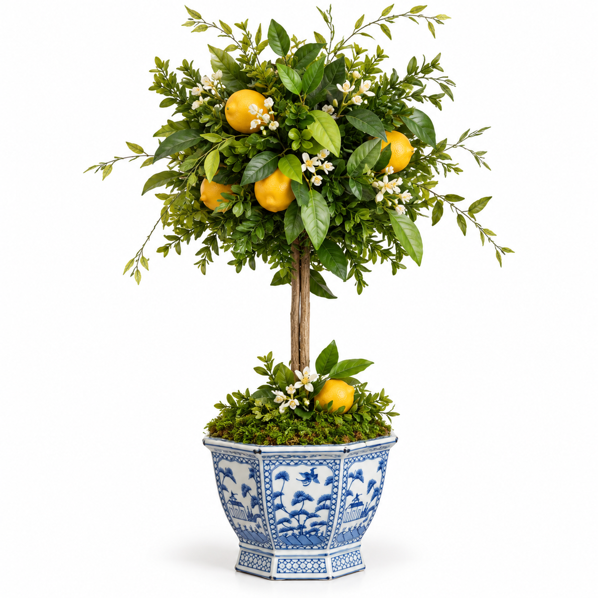 Lemon Topiary and Greenery in Porcelain Hexagon Planter