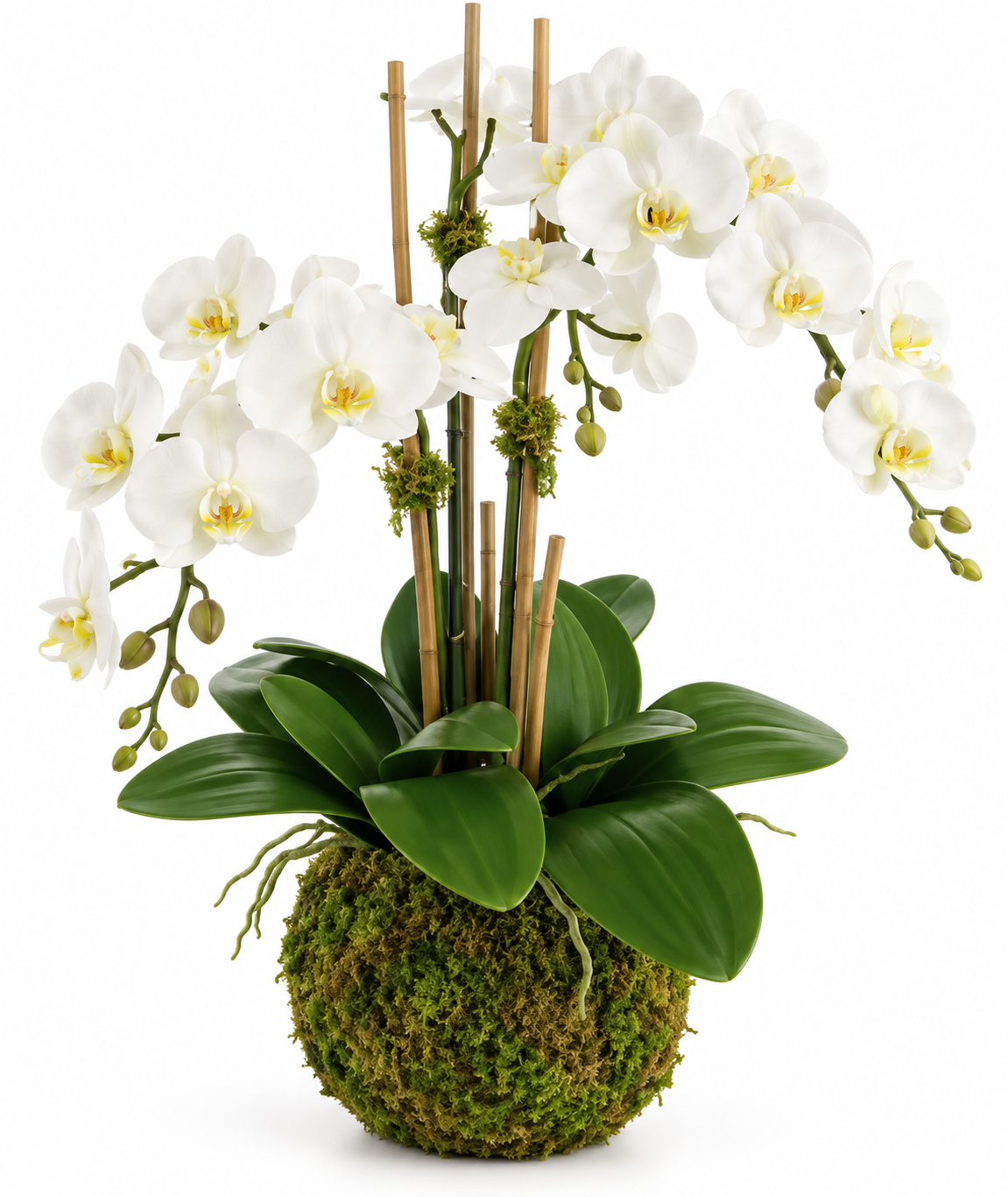 Lifelike Drop in Orchid