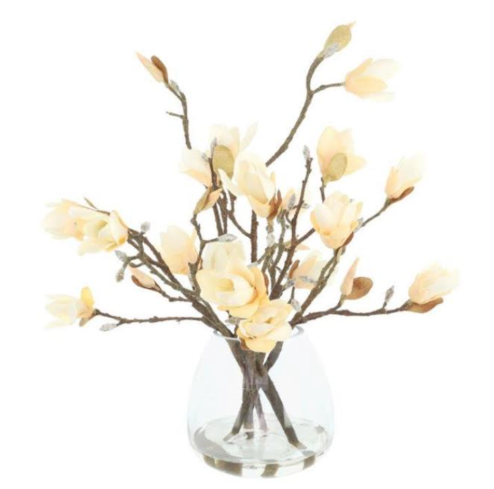 Magnolia Branches Arranged in Glass Vase