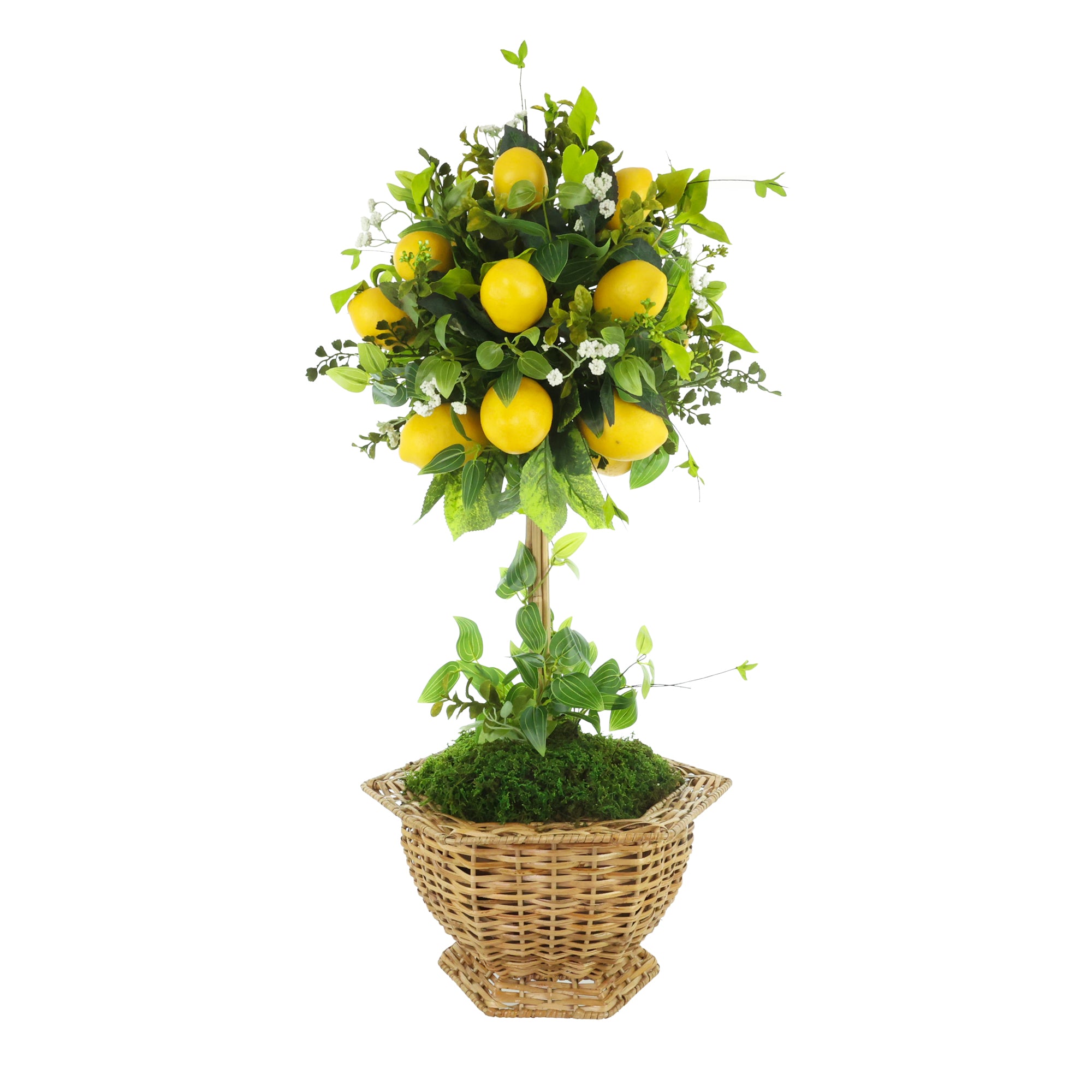 Lemon Topiary in Wicker Hexagon Planter