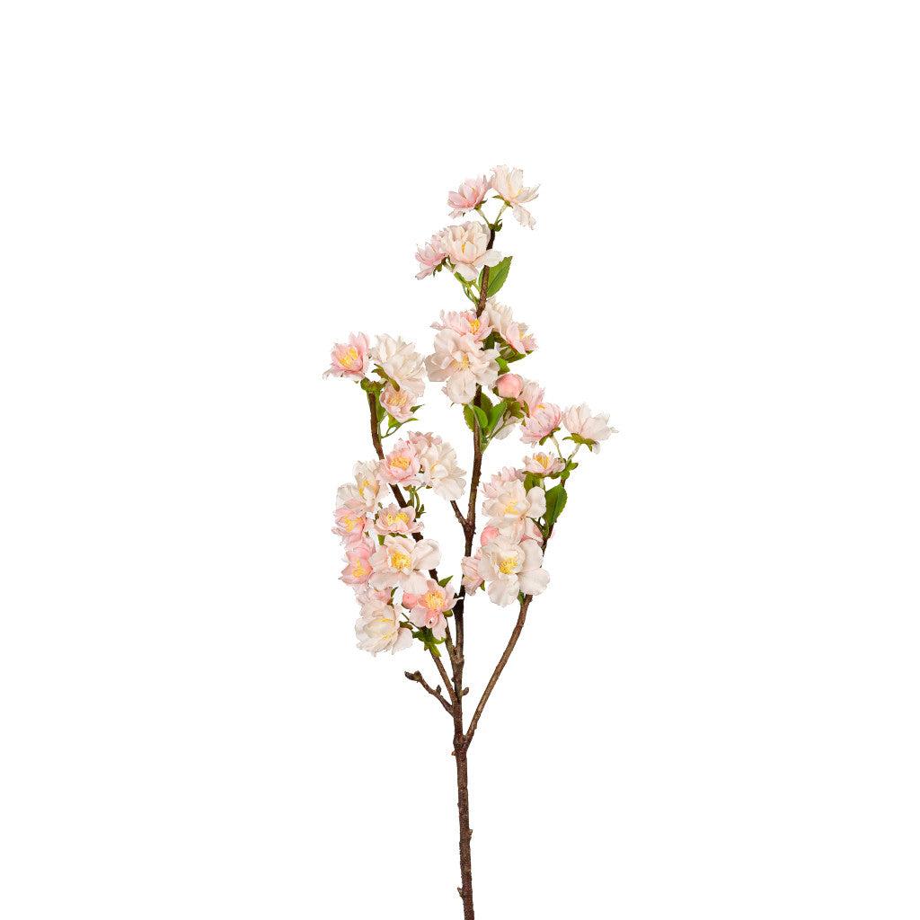 Box of 12 Pink CHERRY BLOSSOM BRANCH