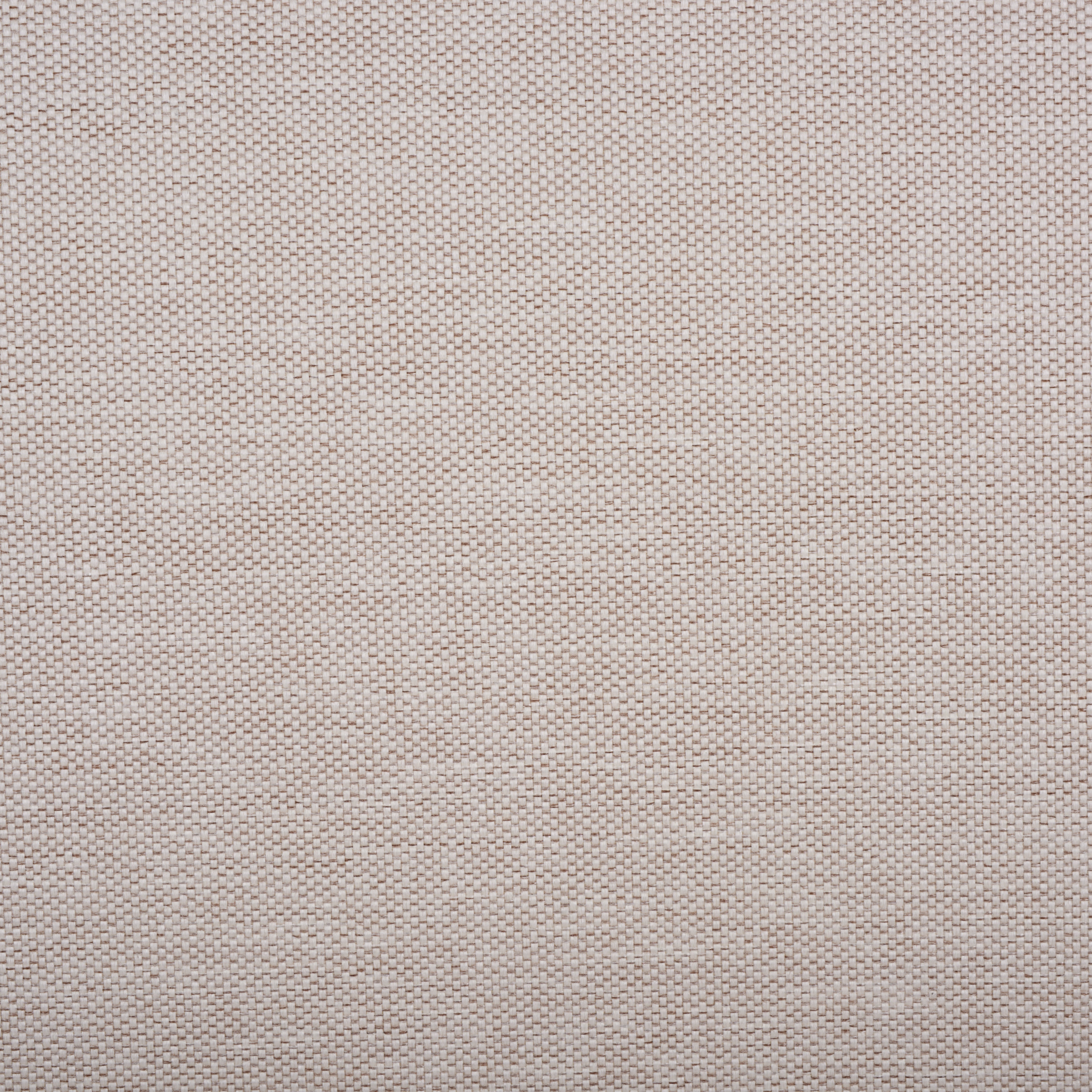 WHITE / BEIGE
