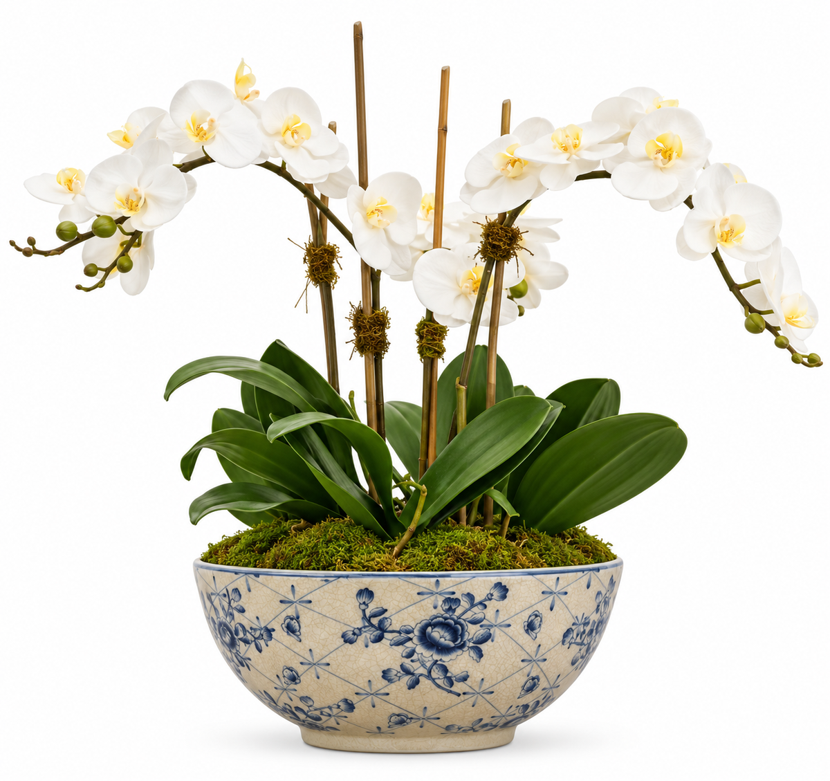 3 Steam White Orchid in Floral Bowl