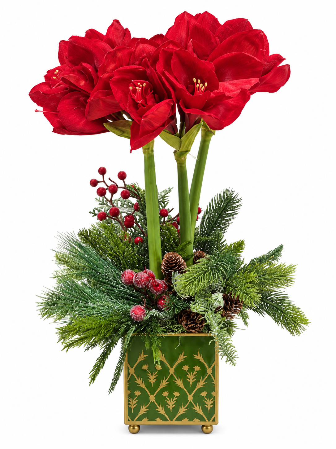 Red Amaryllis & Winter Greens in Chinoiserie Planter
