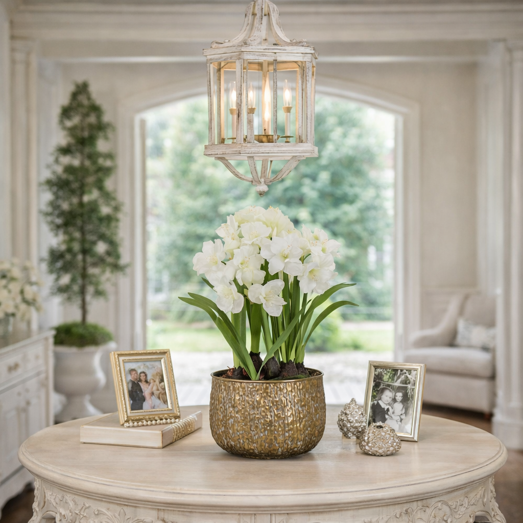 36" Amaryllis in Metal Planter White