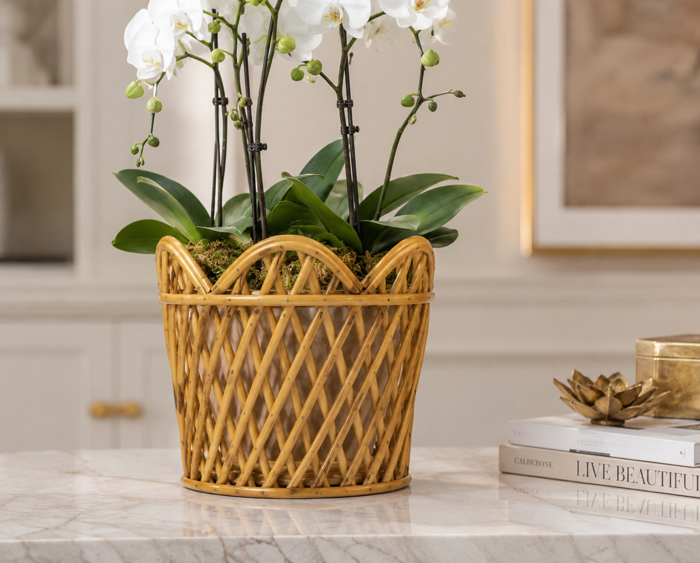 Natural Round Scalloped Lattice Rattan Planter