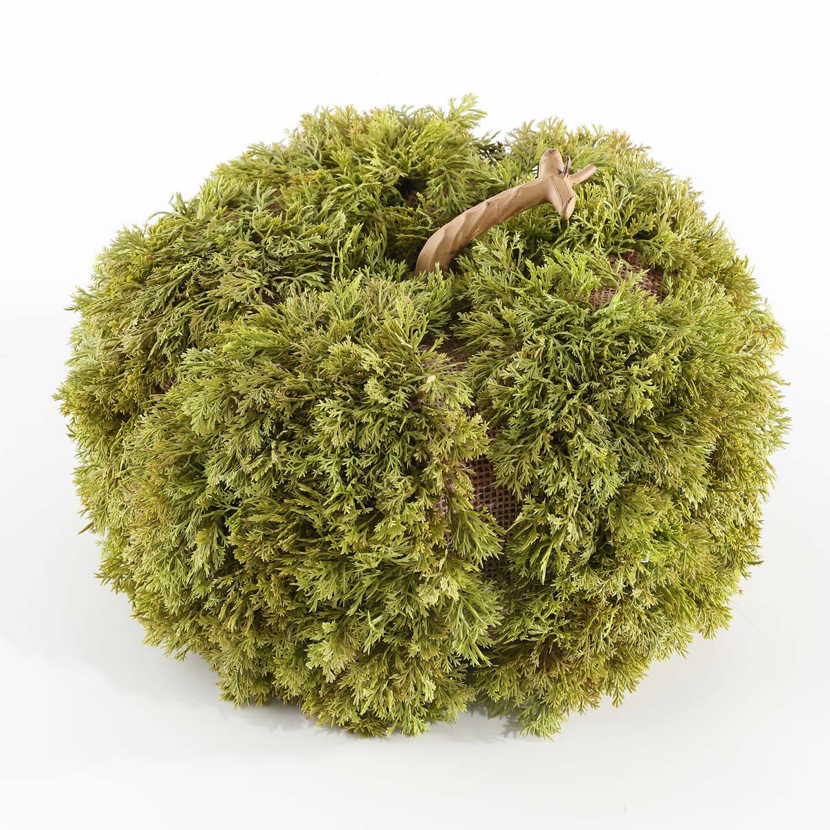 Faux 10 Inch Moss Pumpkin | Safavieh - FXP1067 - Green