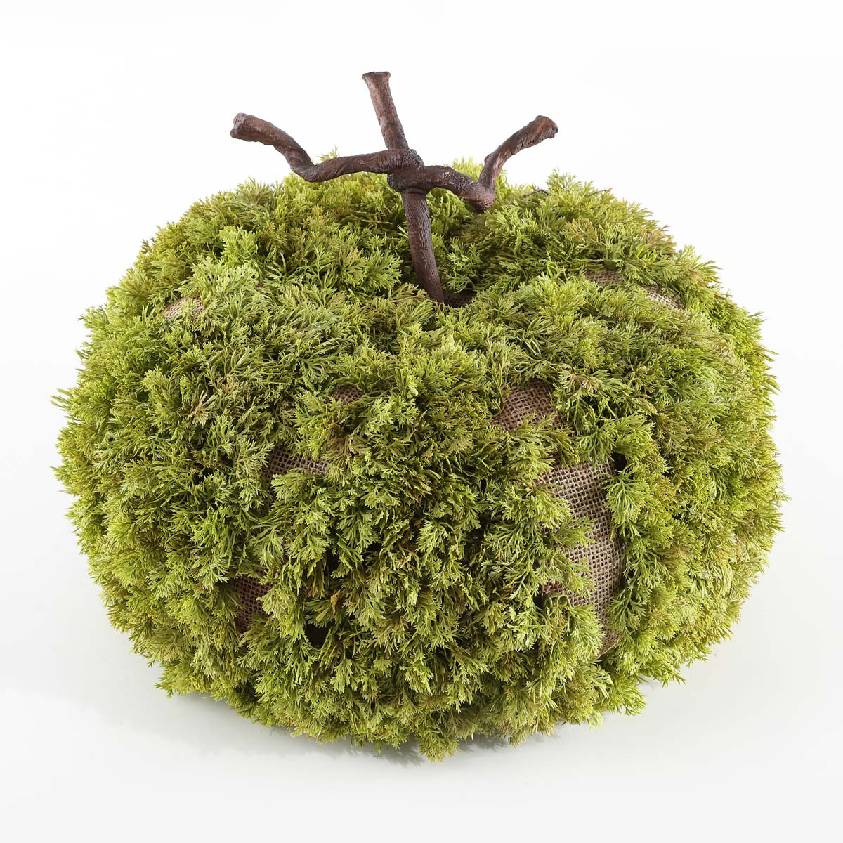 Faux 15 Inch Moss Pumpkin | Safavieh - FXP1068 - Green