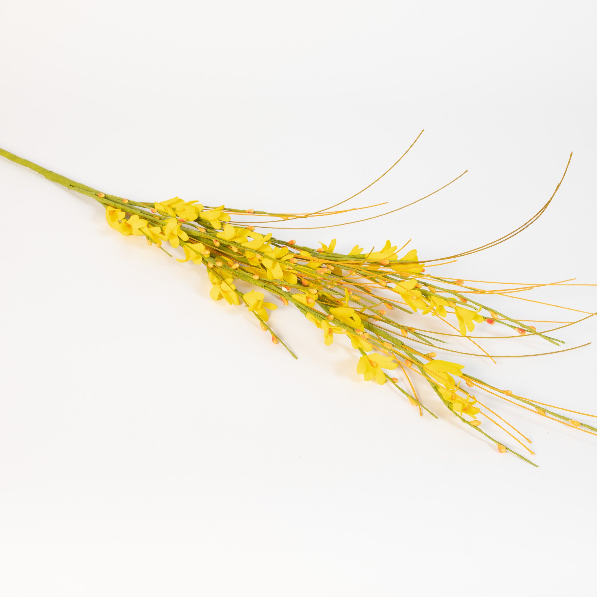 Box of 12 GOLDEN FORSYTHIA SPRAY