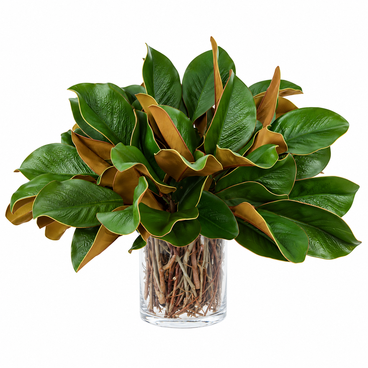 Southern Magnolia Leaf Arrangement in Glass Vase