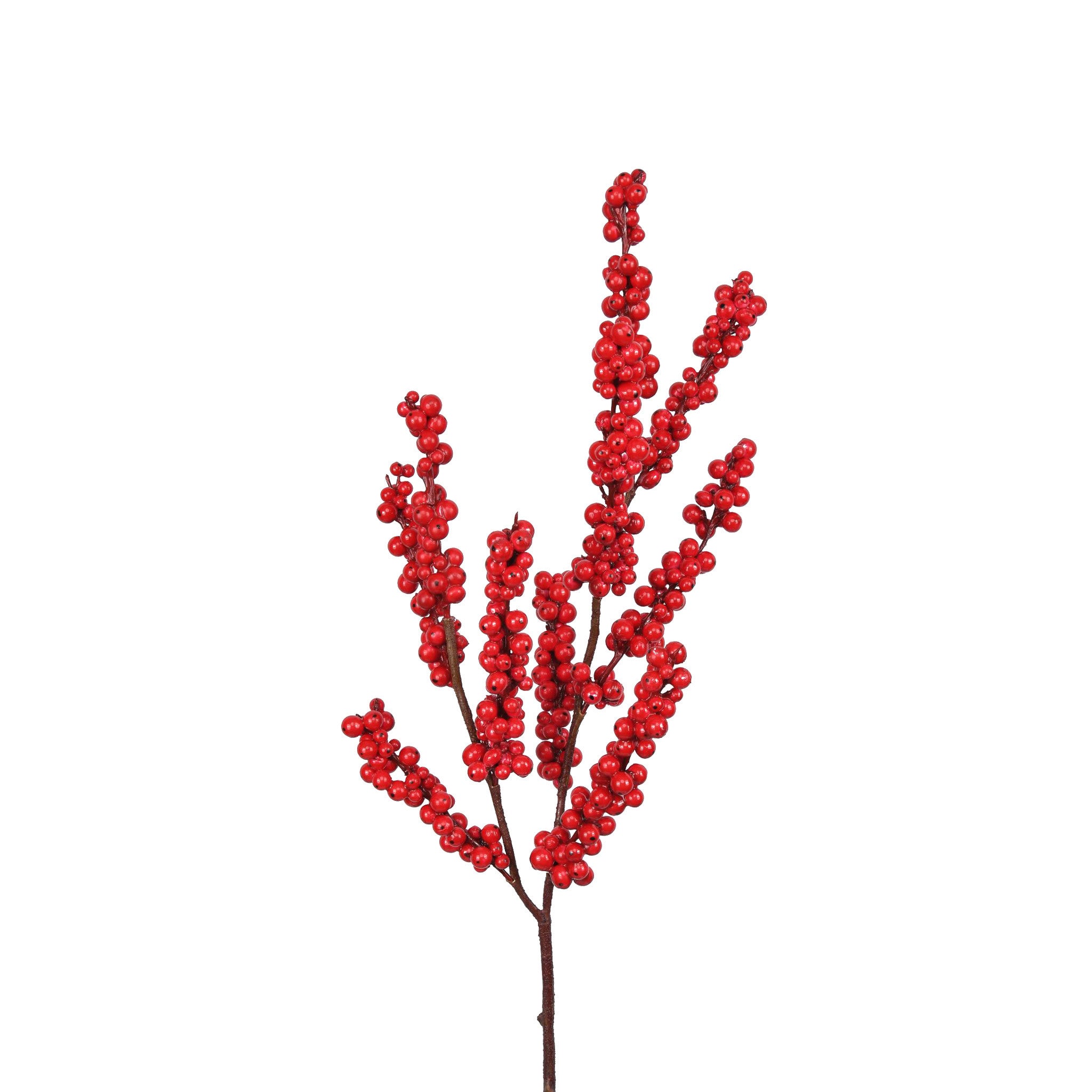 ILEX BERRY BRANCH - RED - 33 INCH (Box of 12 Stems)