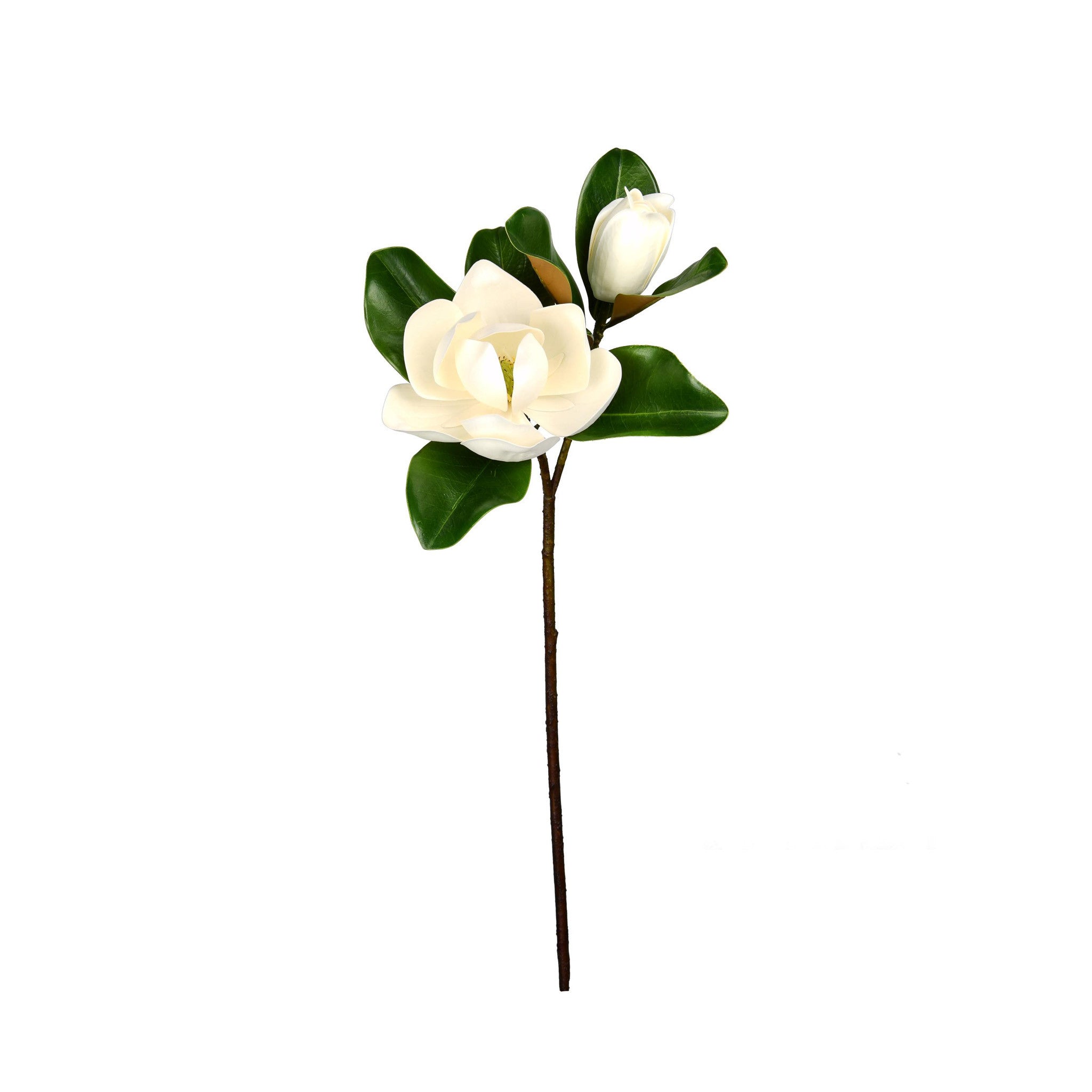 MAGNOLIA FLOWER AND BLOOM STEM - 27 INCH (Box of 12 Stems)