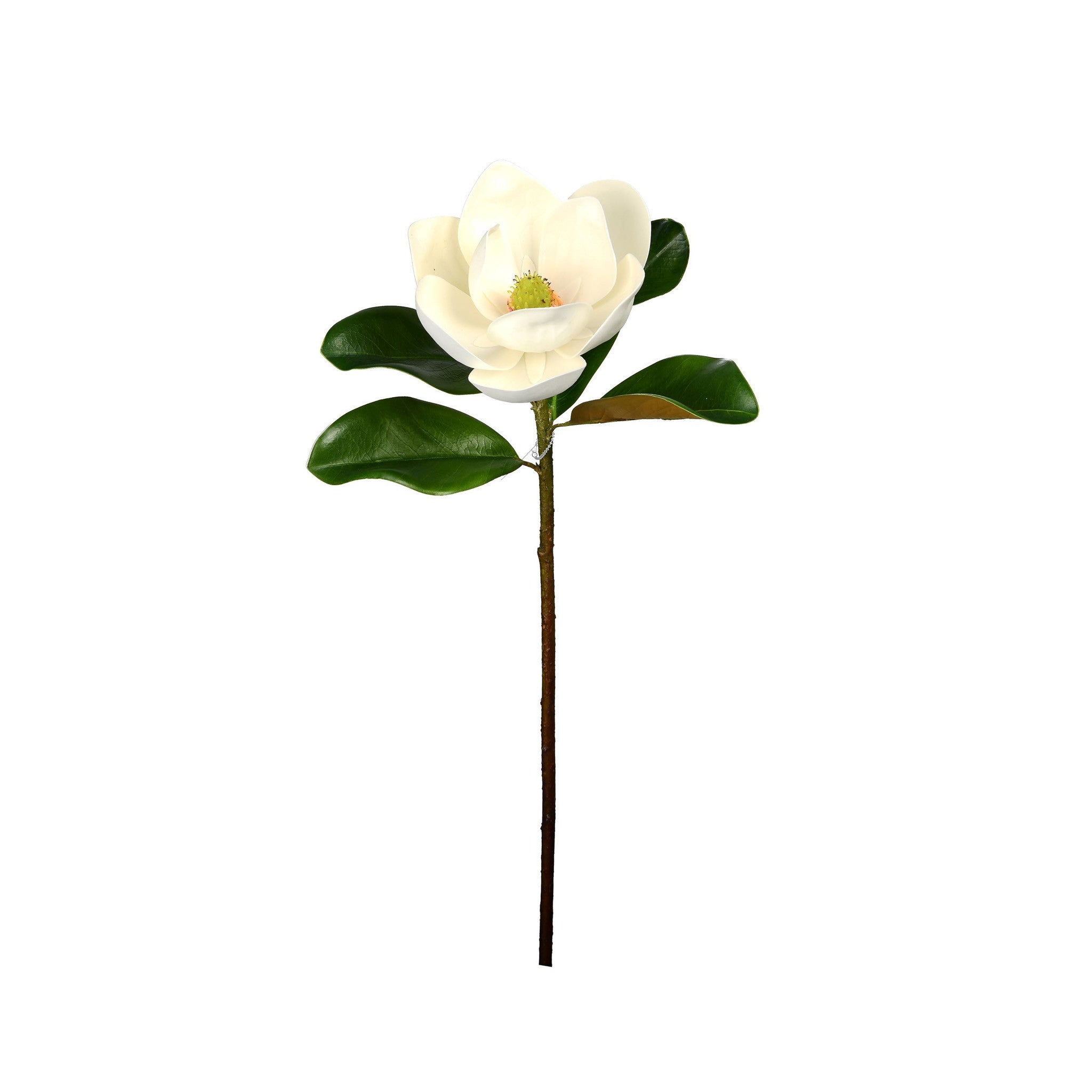 MAGNOLIA FLOWER STEM - 23 INCH (Box of 12 Stems)