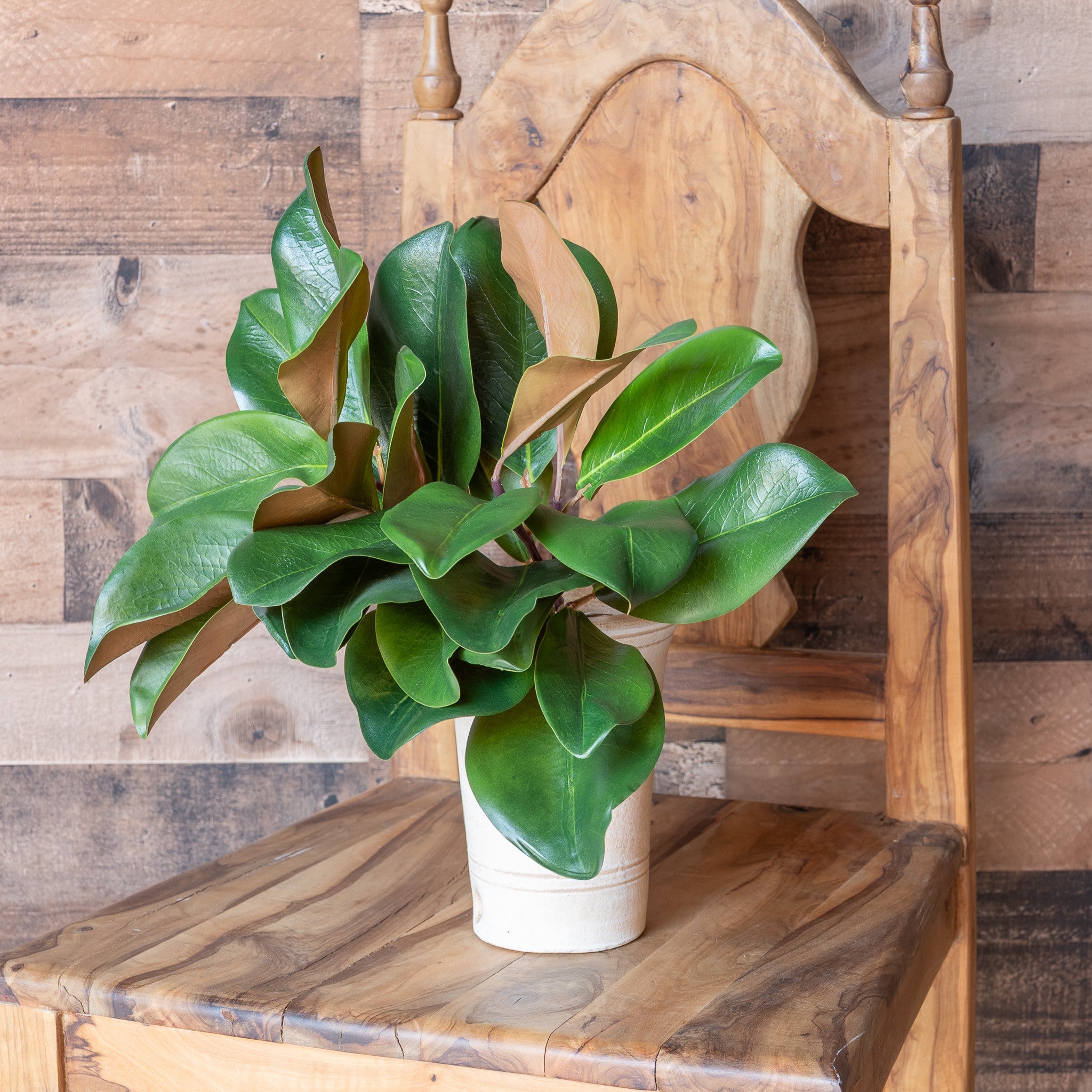 MAGNOLIA LEAF SPRAY - 16 INCH (Box of 12 Stems)