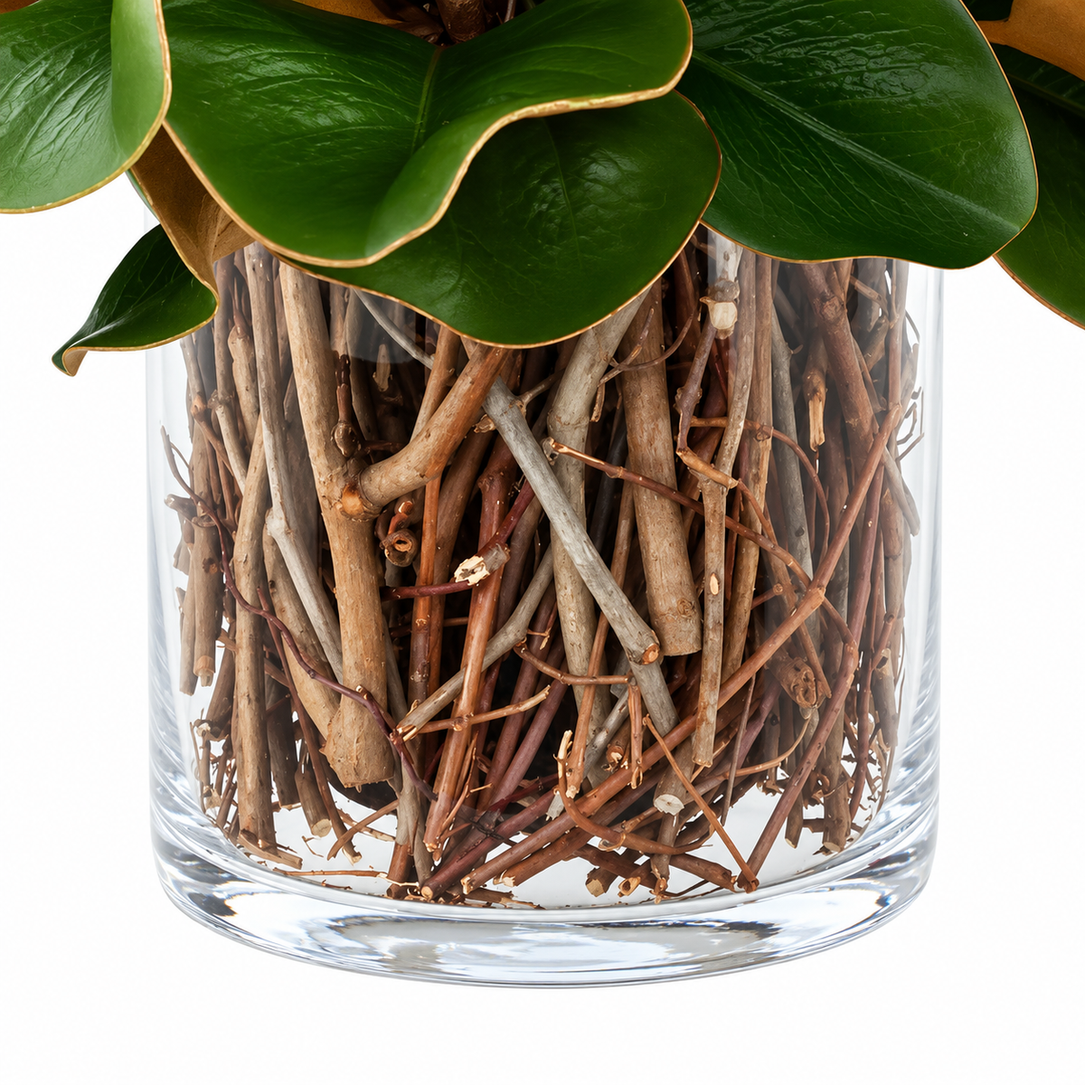 Southern Magnolia Leaf Arrangement in Glass Vase