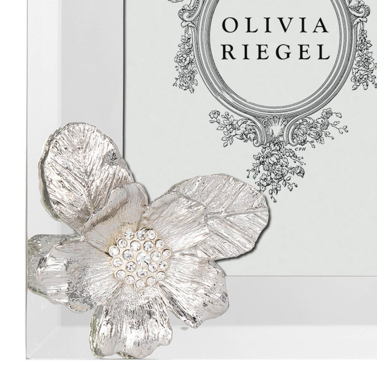 Crystal Botanica Picture Frame