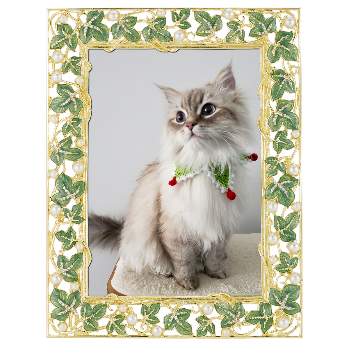 Ivy 5" x 7" Picture Frame