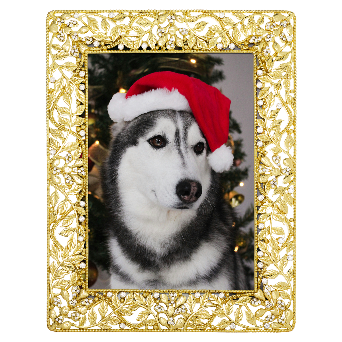 Festoon Picture Frame