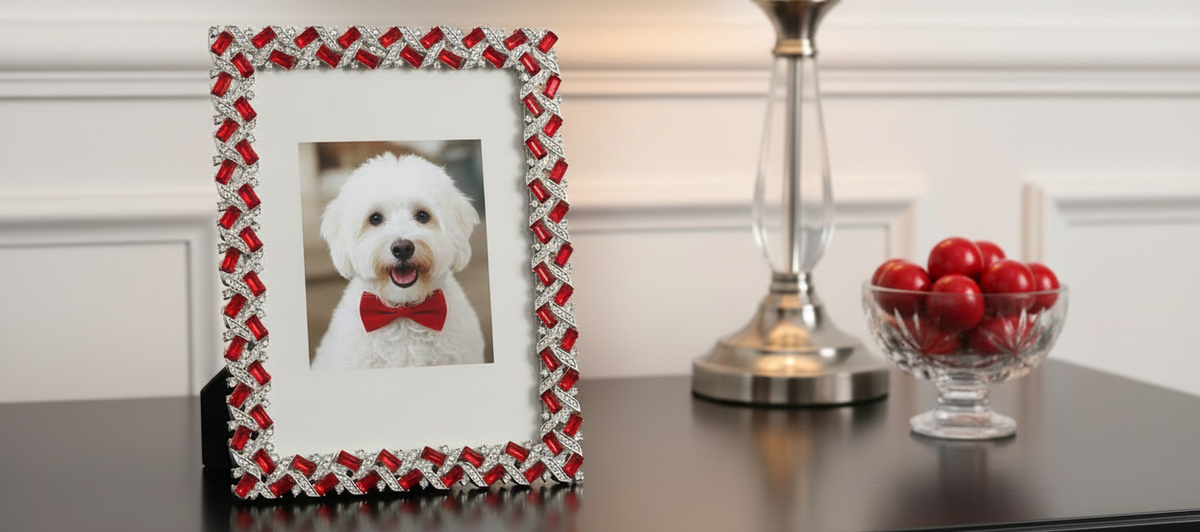 Silver Hamilton Picture Frame