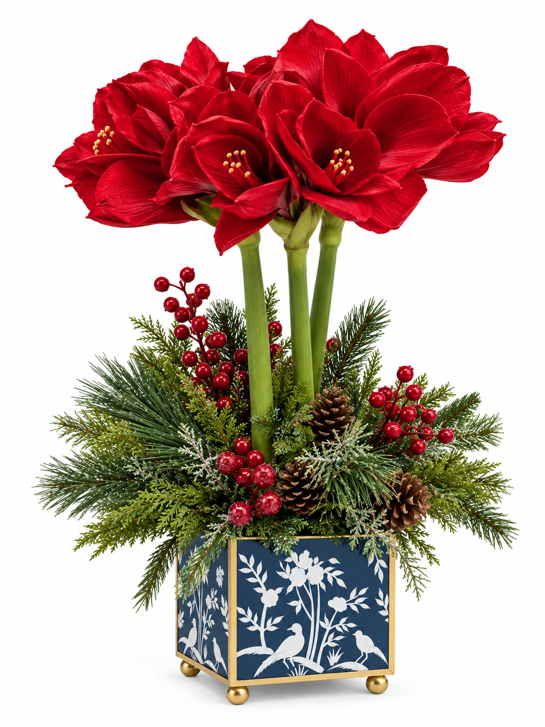 Red Amaryllis & Winter Greens in Chinoiserie Planter