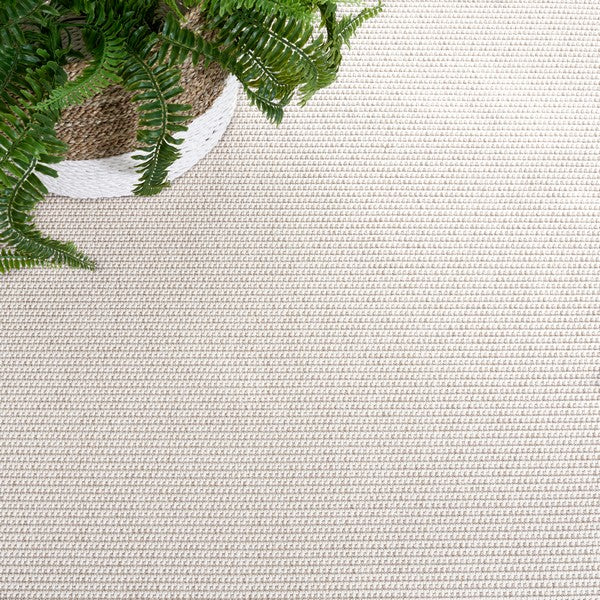 Ivory / Beige