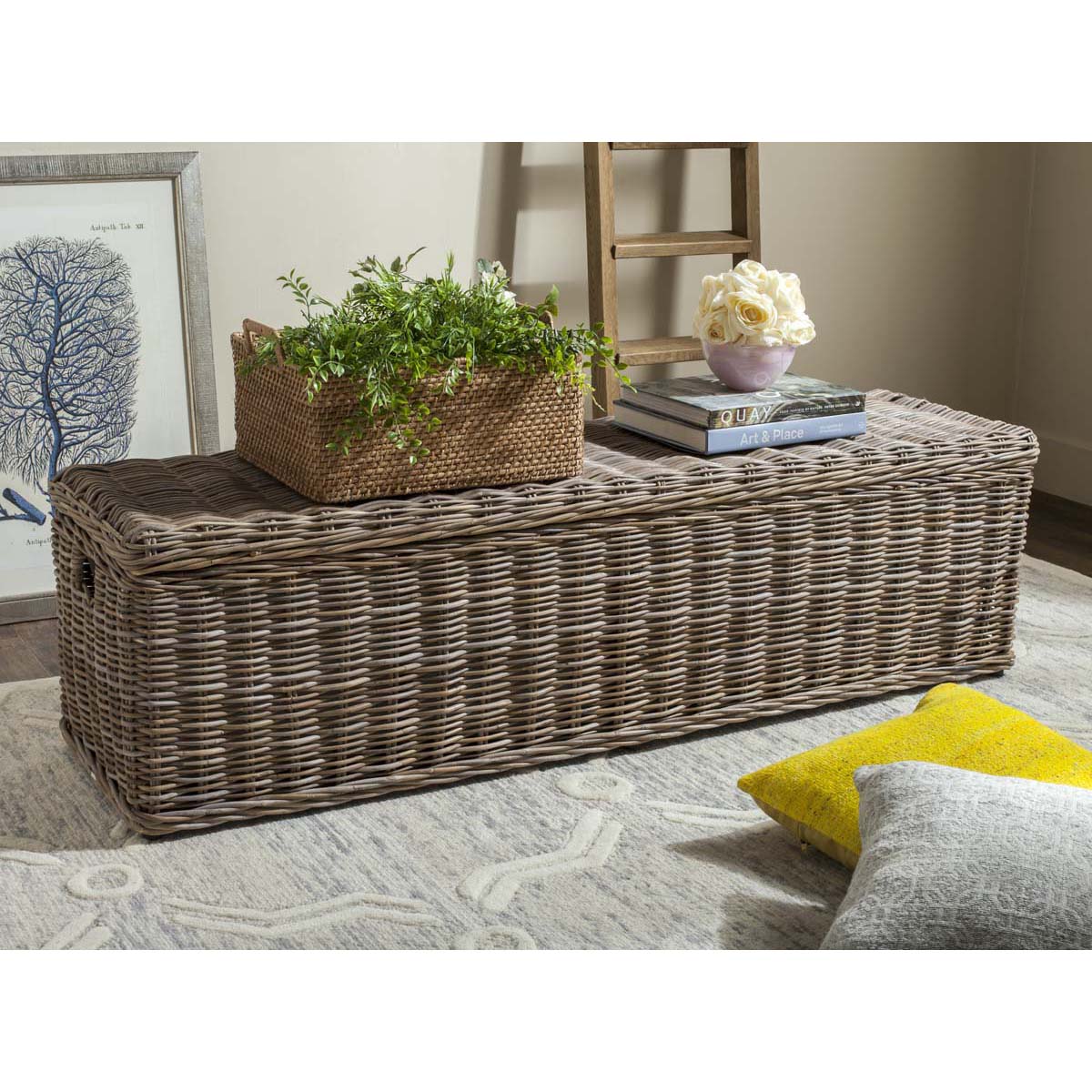 Safavieh Caius Wicker Bench With Storage - Grey