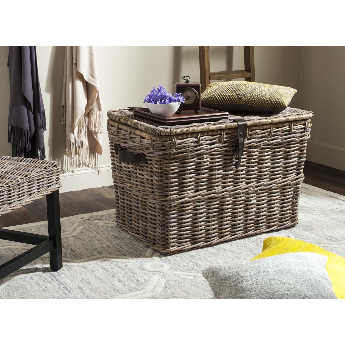 Safavieh Amancio Wicker Trunk - Grey