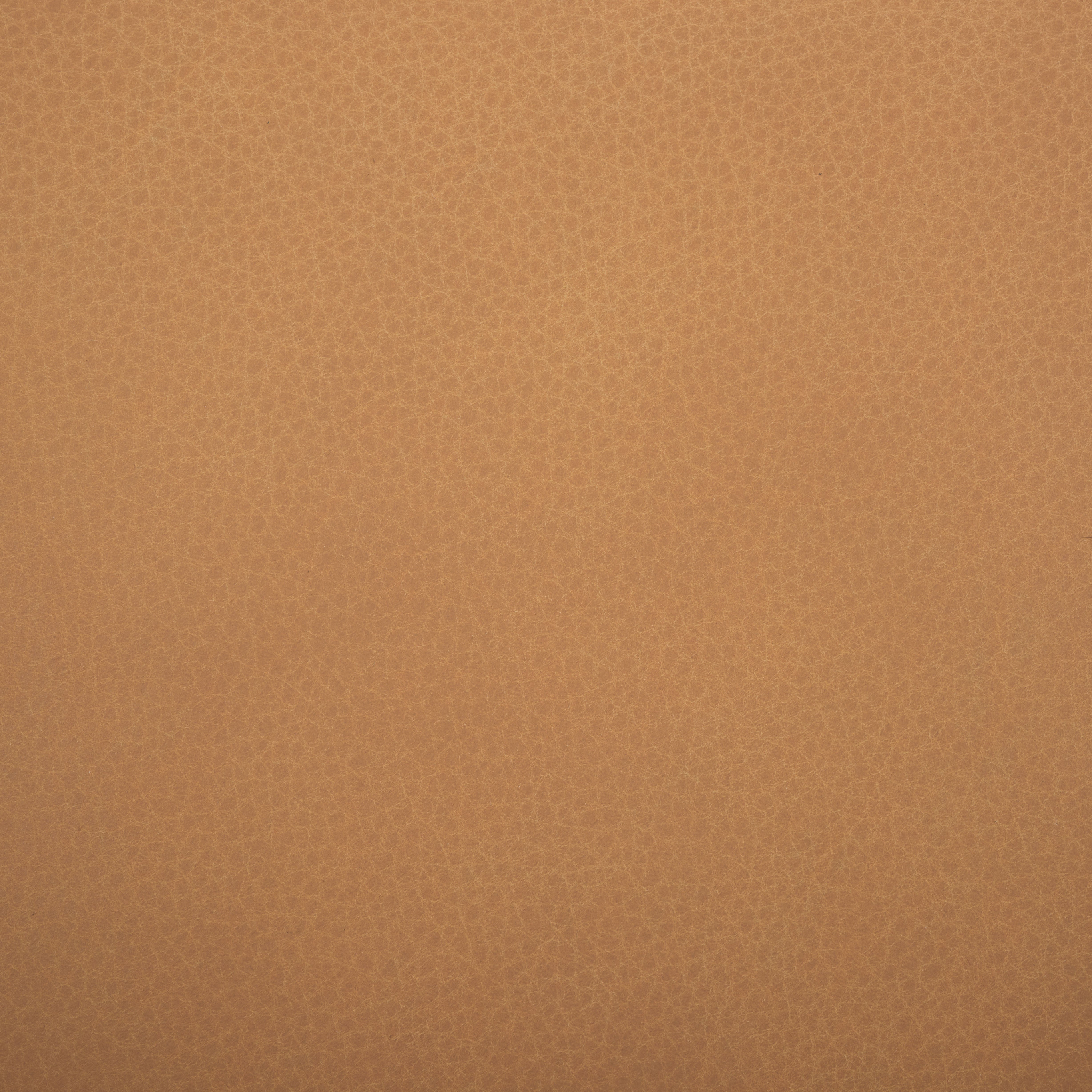 Safavieh Couture Normandy Leather Dining Chair (Set of 2), SFV2400