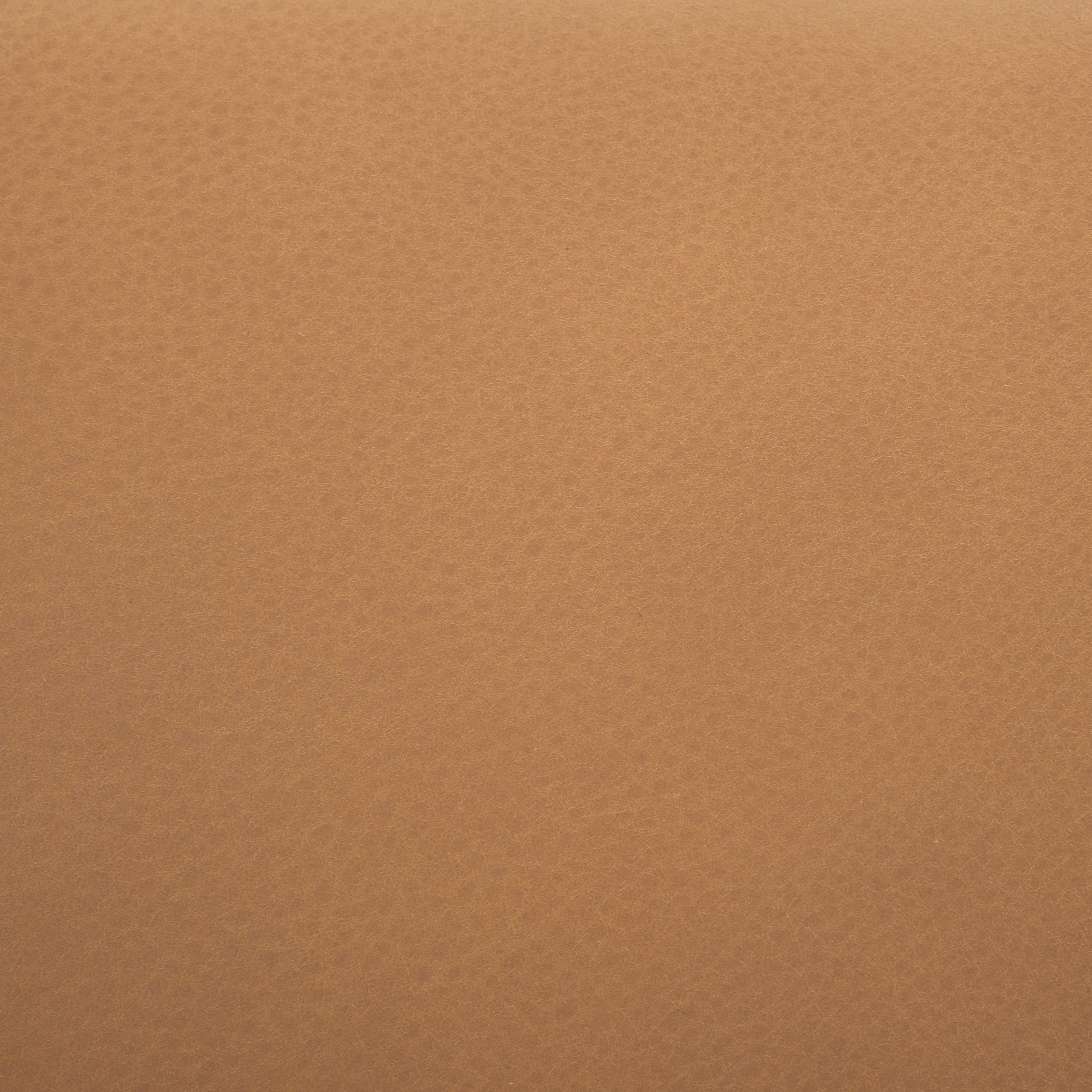 Safavieh Couture Katiya Leather Dining Chair (Set of 2), SFV2402