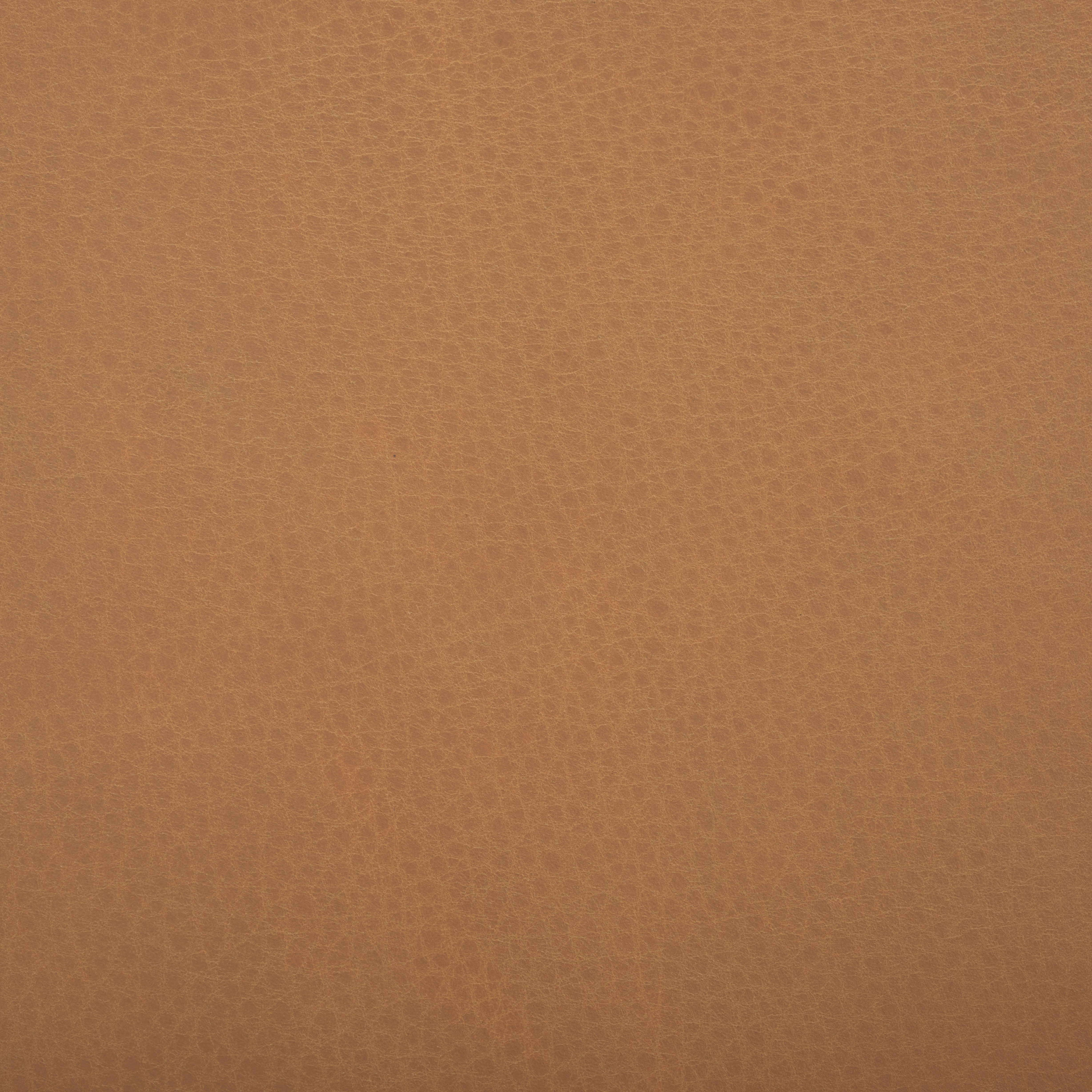 Safavieh Couture Jarvis Leather Dining Chair, SFV2403