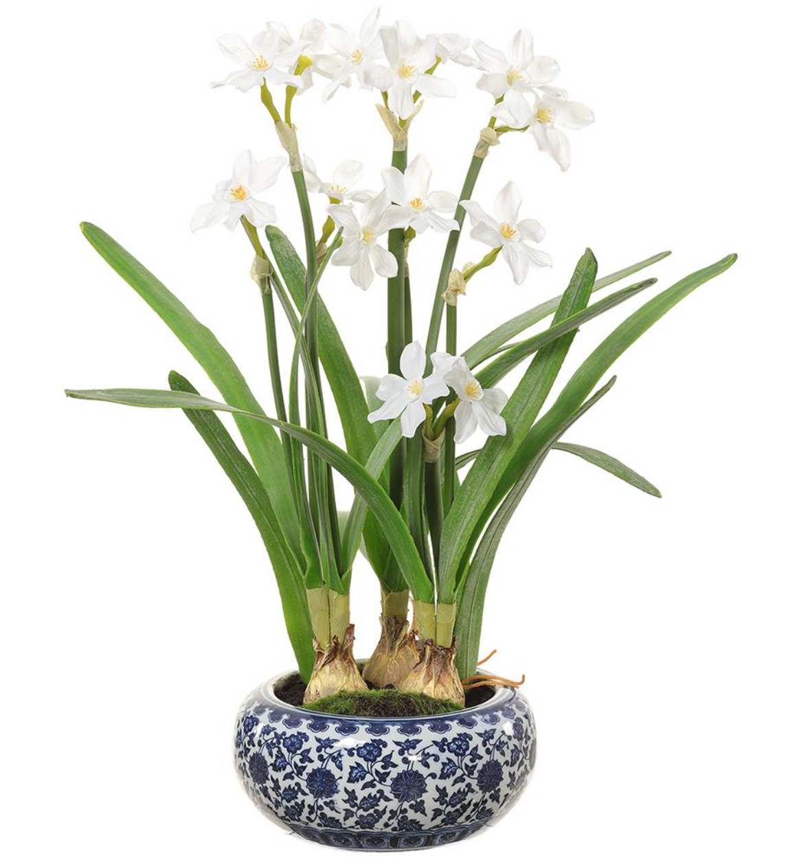 White Narcissus in Blue & White Round Planter