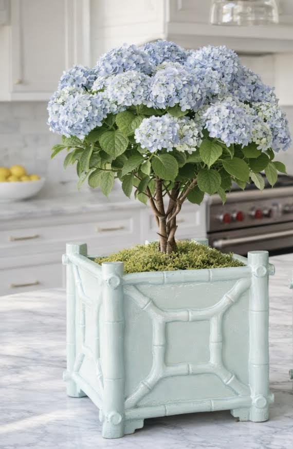 Pale Blue Bamboo Box Planter