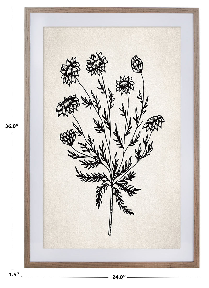 Fresh Cut Flora, 24 X 36, Framed Wall Art | Safavieh - Ivory / Black