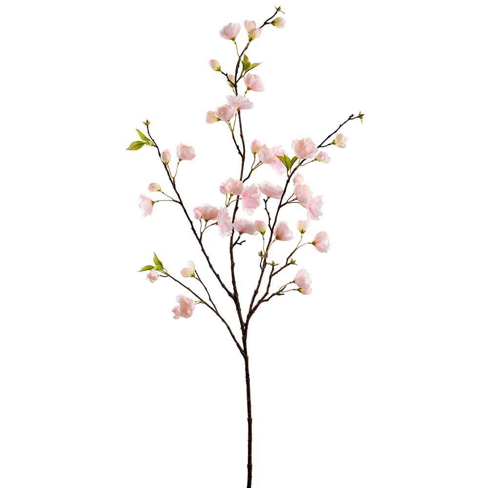 Box of 12 Soft Pink Cherry Blossom Stems