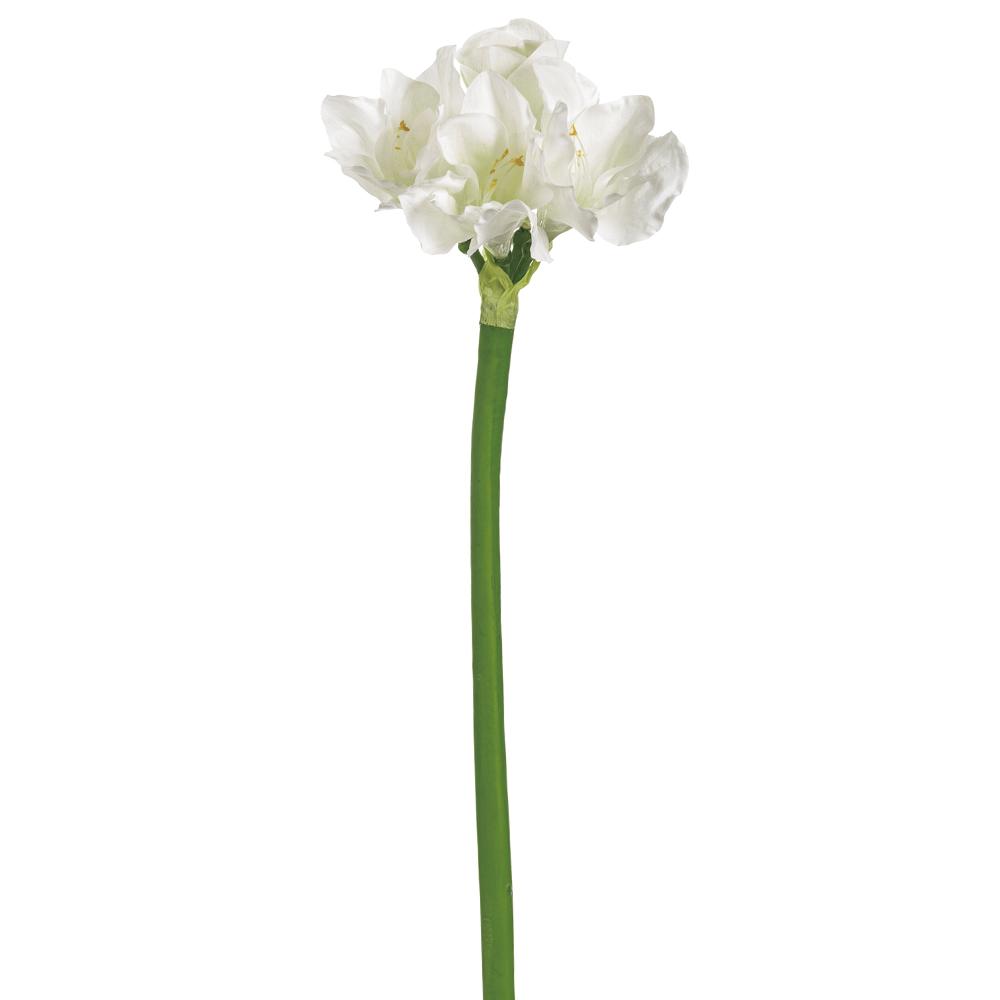Box of 6 30" Real Touch Amaryllis Spray  White