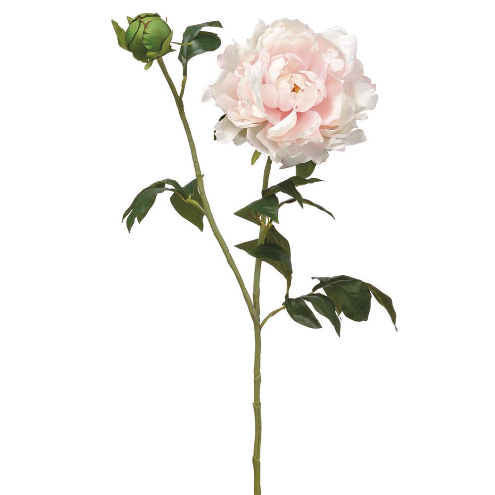 Box of 12 "Real touch" Blush Peony Stems