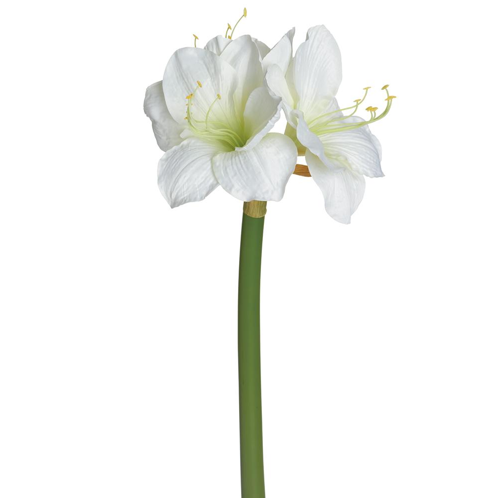 Set of 6 Cream Amaryllis Spray