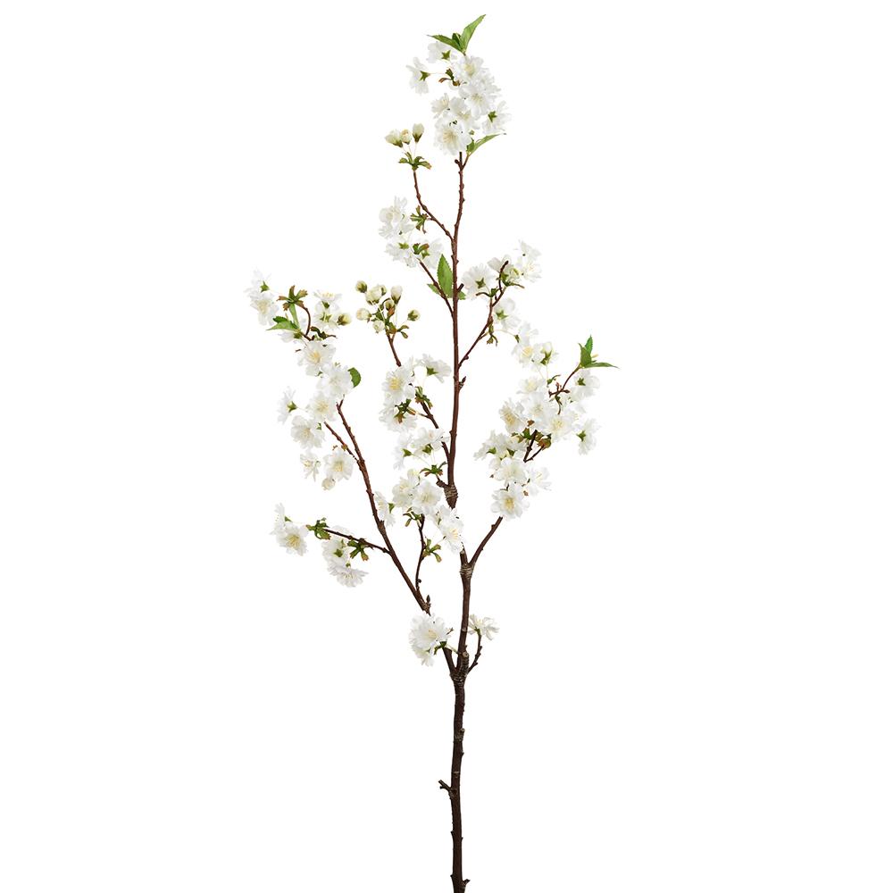 Box of 12 White Cherry Blossom Stems