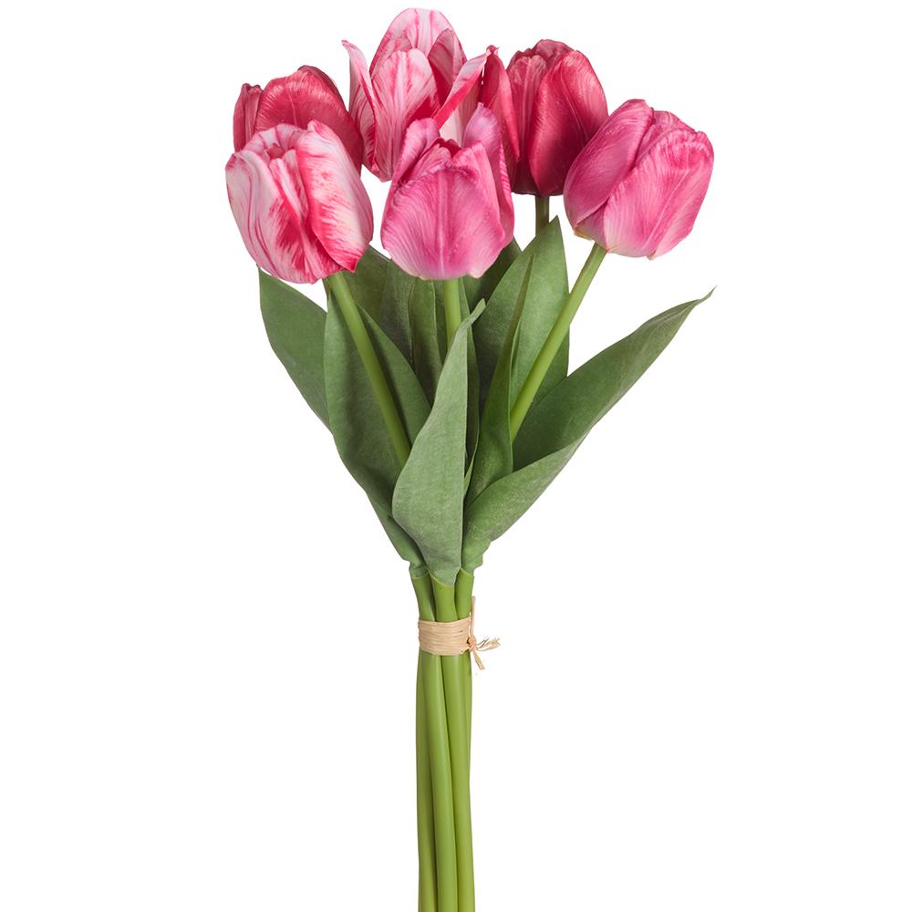 Set of 6 Beauty Pink Tulip Bundles