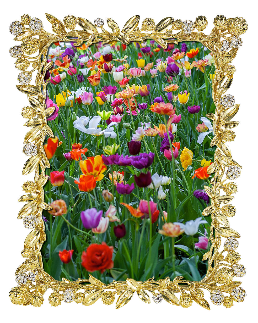 Cornelia 5" x 7" Picture Frame